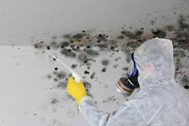 Best Residential Mold Inspection & Testing  in Whitehorn Cove, OK